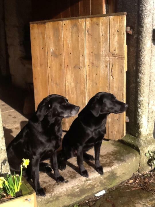 Corndonford Farm Bed & Breakfast